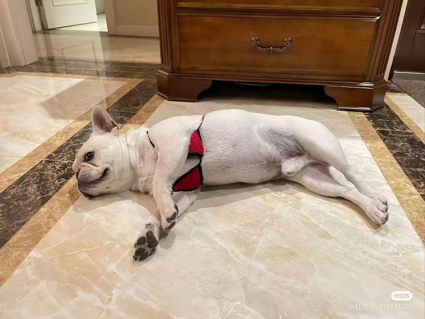 幻灯片-离鸾原创供应